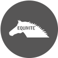 EQUIVITE